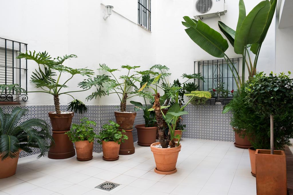 Urbanchicmalaga 3 Bedroom Spacious Quiet Historic Malaga Apt מראה חיצוני תמונה